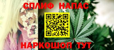 стаф Гусев