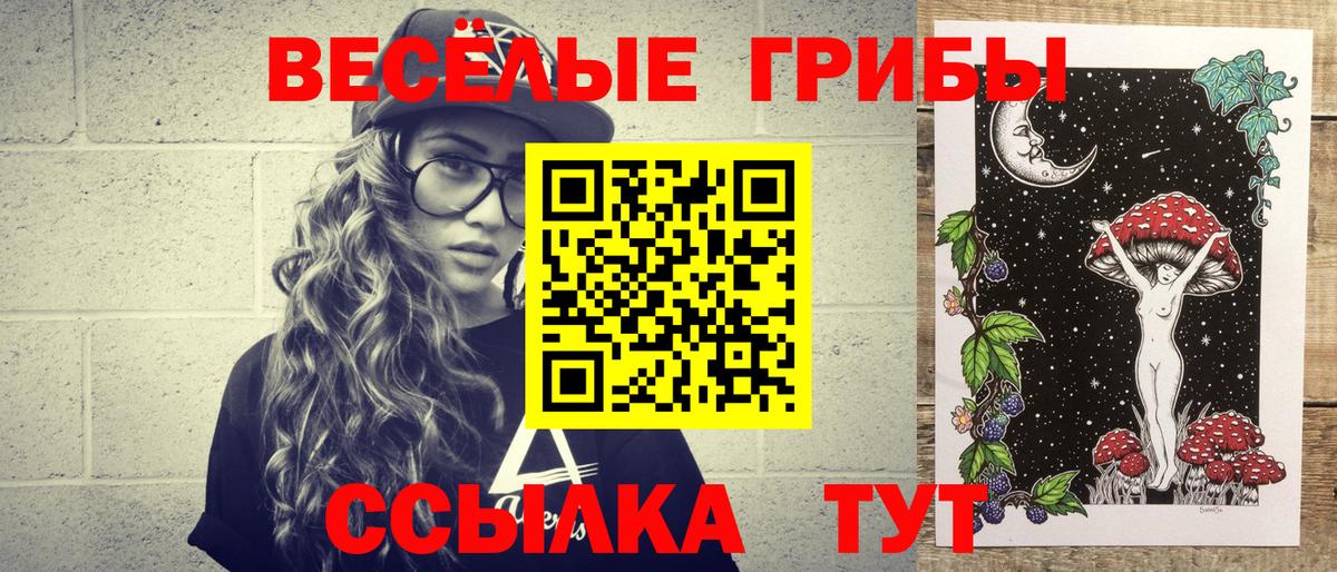Медногорск  Галлюциногенные грибы Magic Shrooms  Вход с VPN  Псилоцибиновые грибы Psilocybine cubensis 